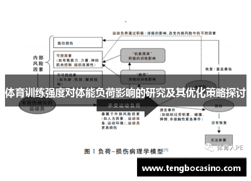 体育训练强度对体能负荷影响的研究及其优化策略探讨