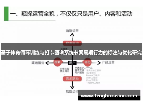 基于体育循环训练与打卡图谱系统节奏周期行为的标注与优化研究